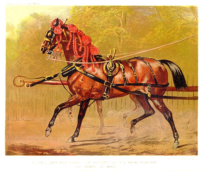 State Carriage Horse, 1885