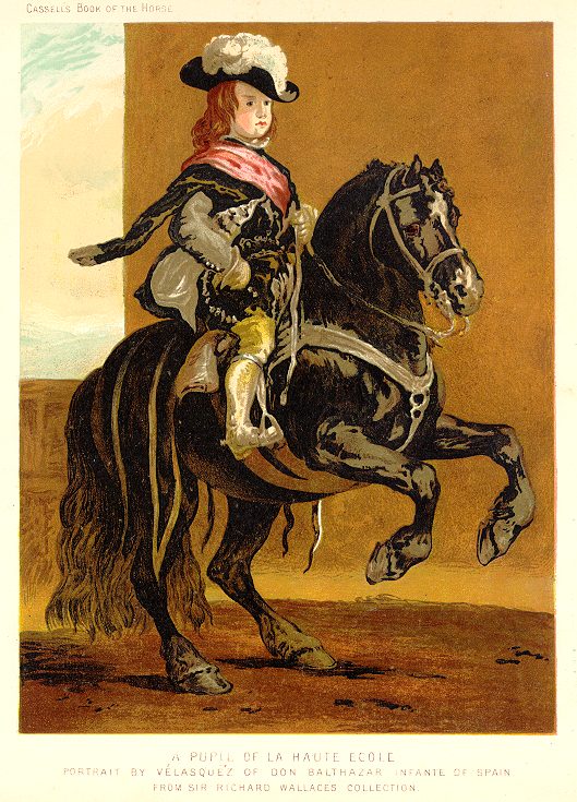Equestrian, a Pupil of La Haute Ecole, 1885