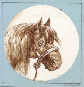 Horse portrait, watercolour by Charlotte Paget, about 1870