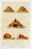 Culinary, meat, Mrs. Beeton's, 1880