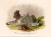 USA, New York, Washington's family Residence, 1857