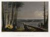 USA (New York), Forest on Lake Ontario, 1839