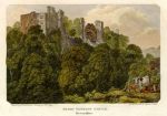 Devon, Berry Pomeroy Castle, 1805