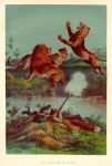 Africa, Lion Hunting at Night, Stanley & Africa, 1890
