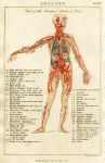 Anatomy - Principal Arteries & Veins, 1819