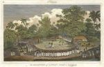 Tonga, Reception of Captain Cook in Hapaee, 1825