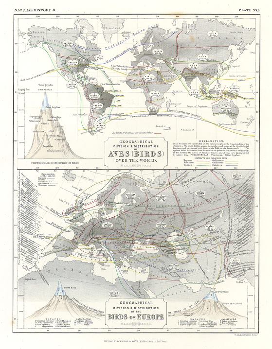 World & European distribution of Birds, 1850