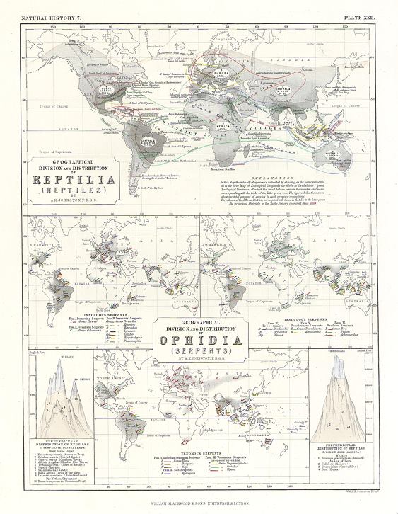 World distribution of Reptiles & Snakes, 1850