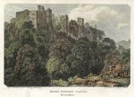 Devon, Berry Pomeroy Castle, 1802