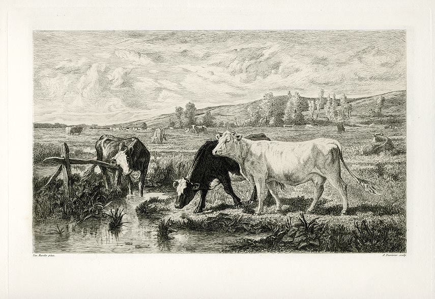 'Incheville Marsh', etching with cattle after Van Marcke, 1876