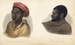 Natives of Erumango (New Hebrides), 1855