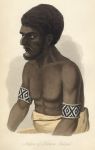 Native of the Solomon Islands, 1855