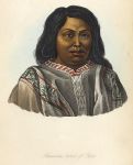 Native of Chile, 1855