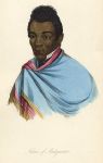 Native of Madagascar, 1855