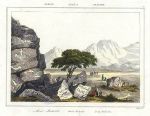 Arabia, Mount Mokatib, 1843
