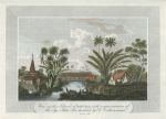 Moluccas, View on Bouro with the Sago Palm, 1806