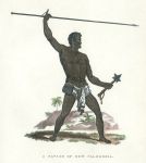 New Caledonia native, 1828