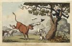 Doctor Syntax Chased by a Bull, 1813