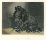 The Pet of the Duchess (King Charles Spaniel), after Landseer, published 1880