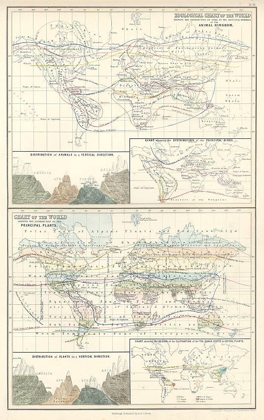Thematic World maps (natural history), 1856
