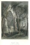 Ireland, Yougall Abbey, 1841