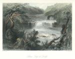 Ireland, Salmon Leap at Leixlip, 1841