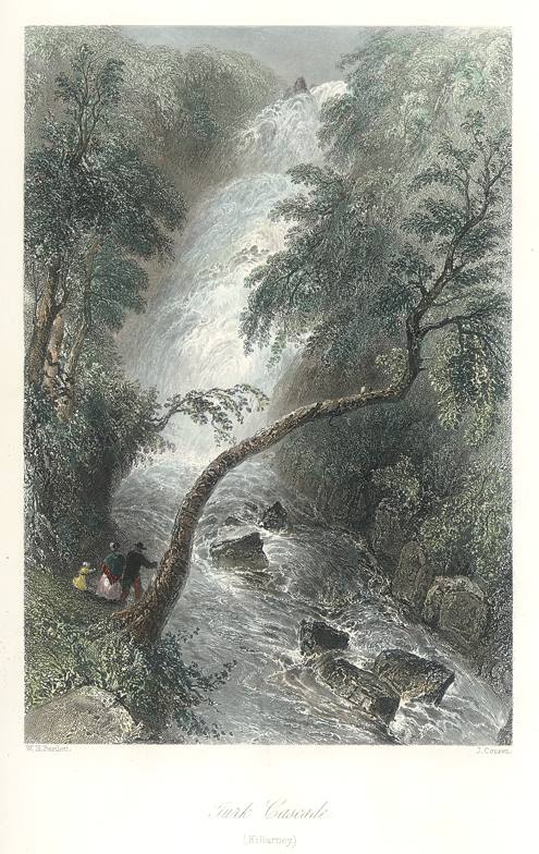 Ireland, Turk Cascade (Killarney), 1841