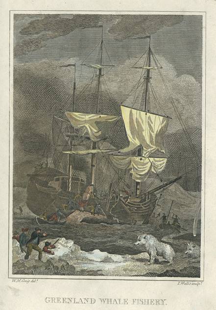 Greenland Whale Fishery, 1808