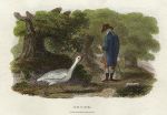 Goose, 1806