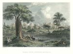 Australia, Baines River, Northern Australia, 1873