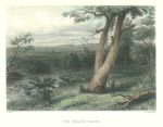 Australia, Gwalor Plains, 1873