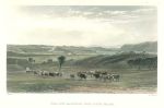 Australia, Cow Pastures, New South Wales, 1873