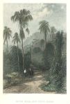 Australia, Mount Kiera, New South Wales, 1873