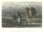 Australia, Return of Burke & Wills to Coopers Creek, 1873