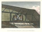 USA, Hawaii, Morai, or Burial Place, internal view, 1817