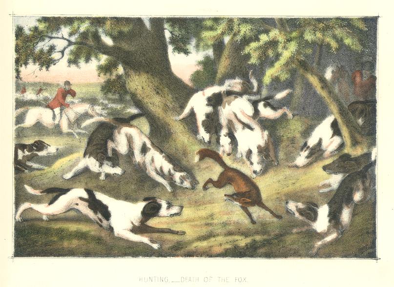 Hunting, Death of the Fox, 1860