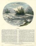 Rapids, educational print, SPCK, 1846