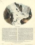 Avalanches, educational print, SPCK, 1846