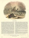 Sandstorms, educational print, SPCK, 1846