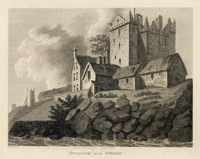 Ireland, Bullock near Dublin, 1786
