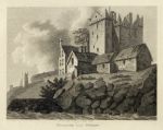 Ireland, Bullock near Dublin, 1786