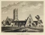 Ireland, Co. Galway, Clare Abbey, 1786