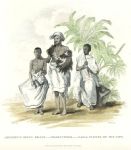 Ethiopia, Abyssinian Priest, Woodcutter and Galla, 1811