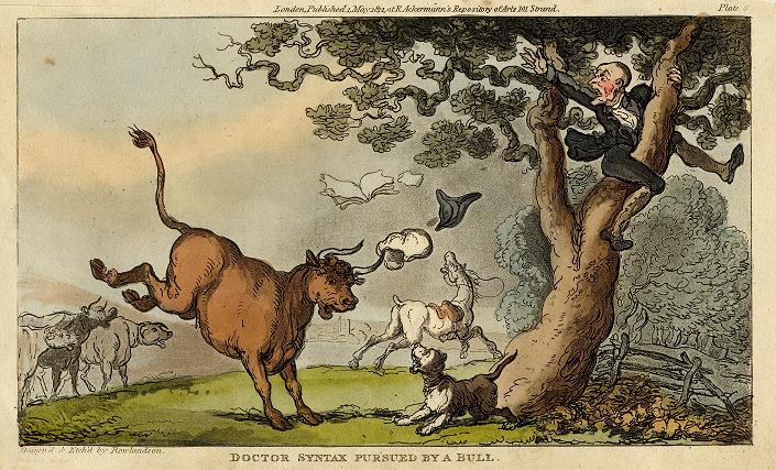 Doctor Syntax pursued by a bull, 1812