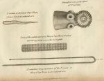 Serrata Tape Worms, 1819