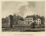 Ireland, Co.Kildare, Moon Abbey & Castle, 1786