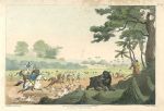 India, Bear Hunting, 1807
