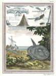 Africa, Gambia natural history, 1760