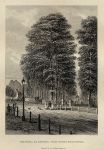 Cheltenham, Royal Well Walk, 1838