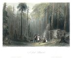 Canada, Forest Settlement, 1842
